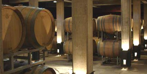 Destinos nacionais e internacionais para saborear e aprender sobre o vinho
