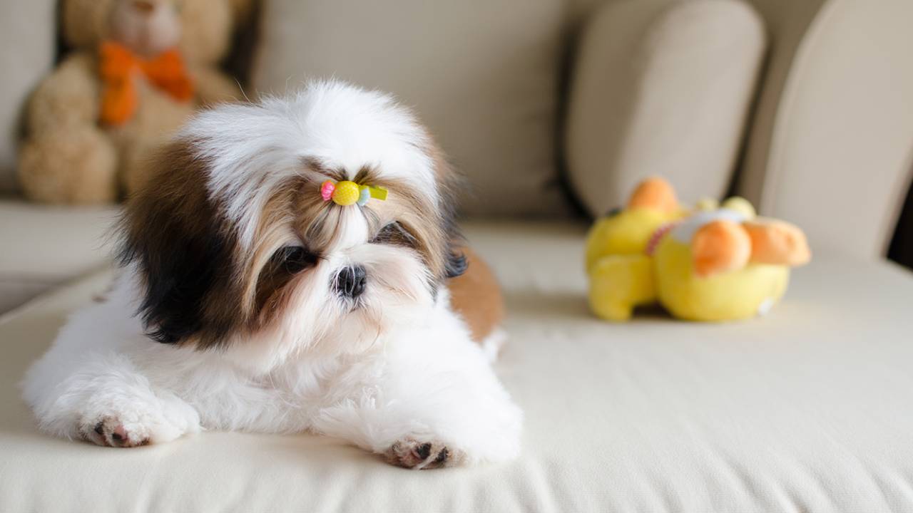 iStock/Thinkstock/Getty Images