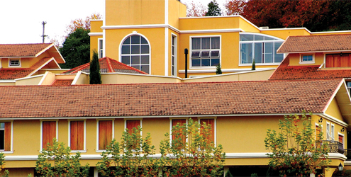 Destinos nacionais e internacionais para saborear e aprender sobre o vinho