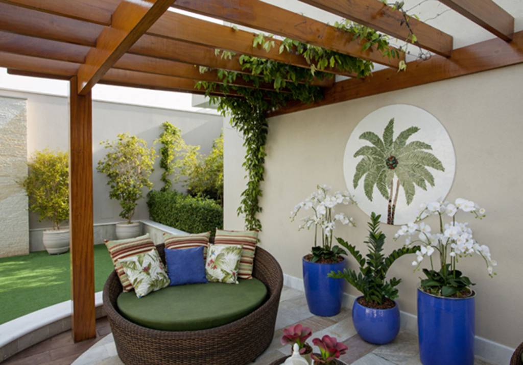 7 plantas que todos devem ter em casa