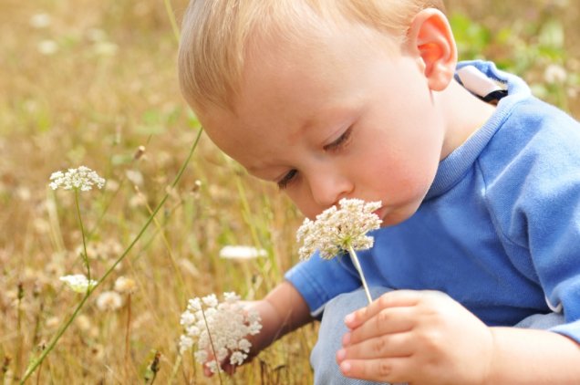 Bebê cheirando flor