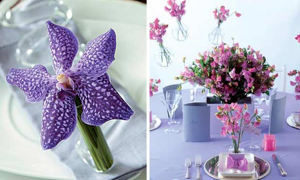 Orquídea roxa decorando os pratos e vasos pendurados com flores lilás