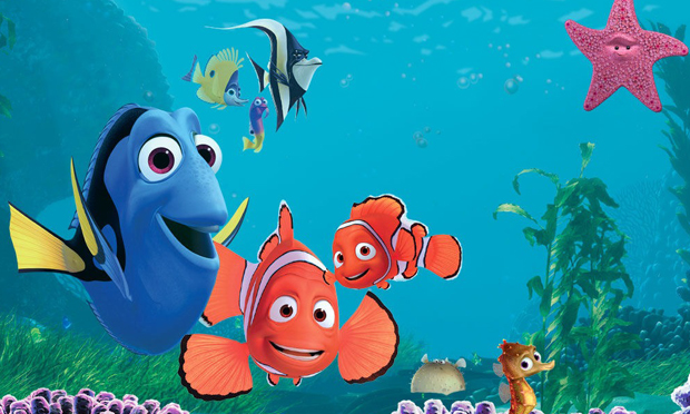 Procurando Nemo Procurando Nemo