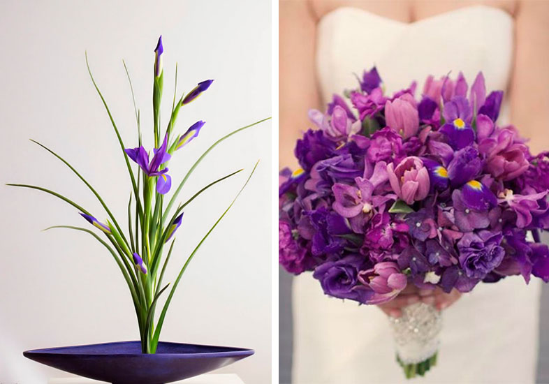 Reprodução/Pinterest Reprodução/Pinterest