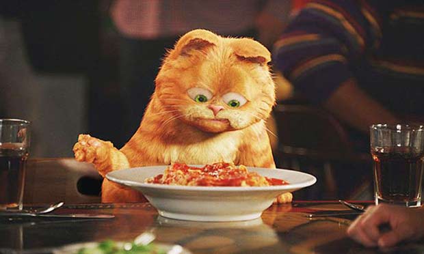 Garfield Garfield