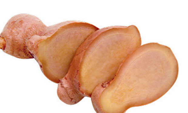 10. Gengibre