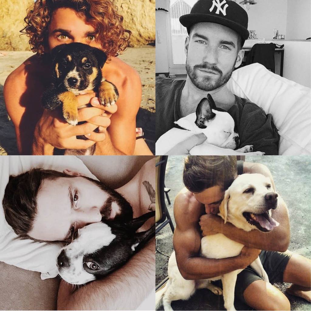 Divulgação Hot Dudes With Dogs