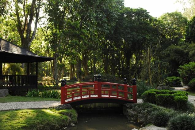 Jardim Jardim