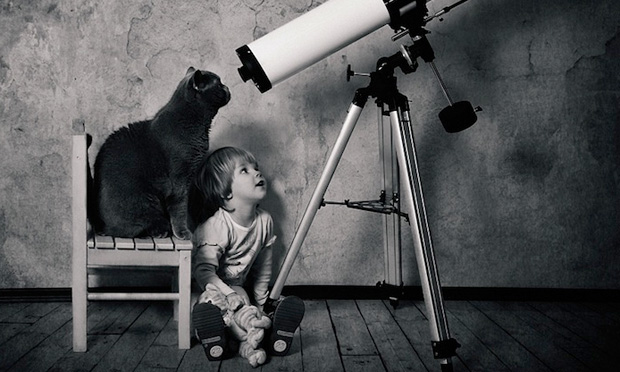 Foto da série Little Girl and Tomcat