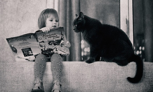 Foto da série Little Girl and Tomcat