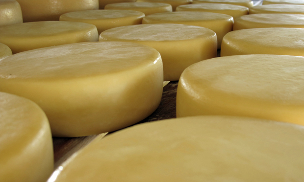 Paladar refinado Paladar refinado