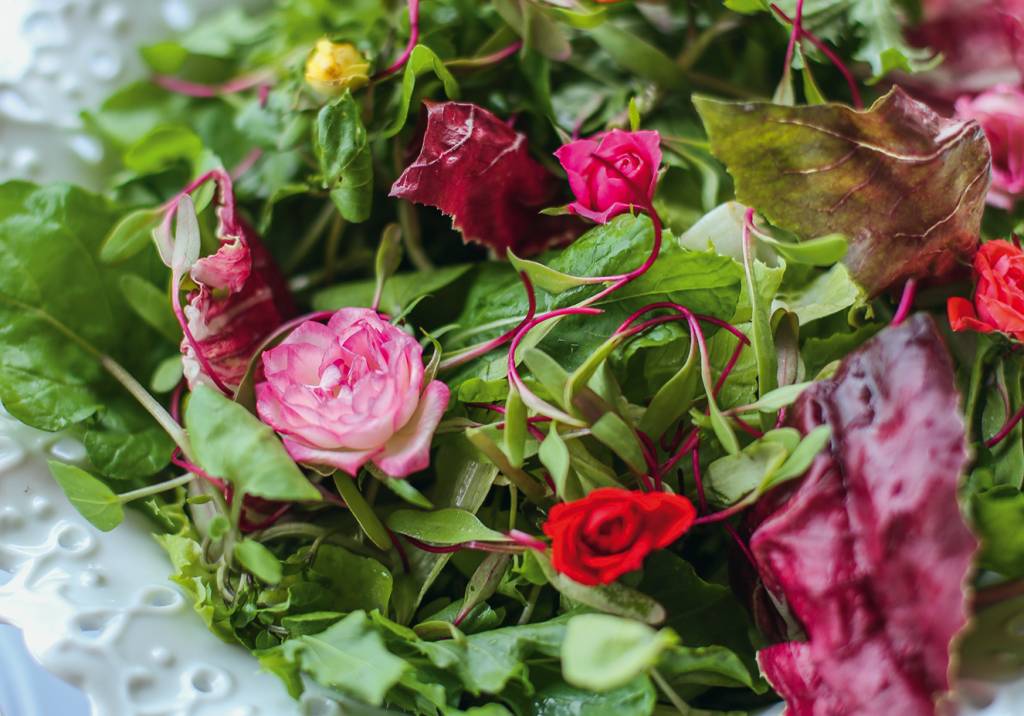 Salada de folhas ao molho de caramelo balsâmico