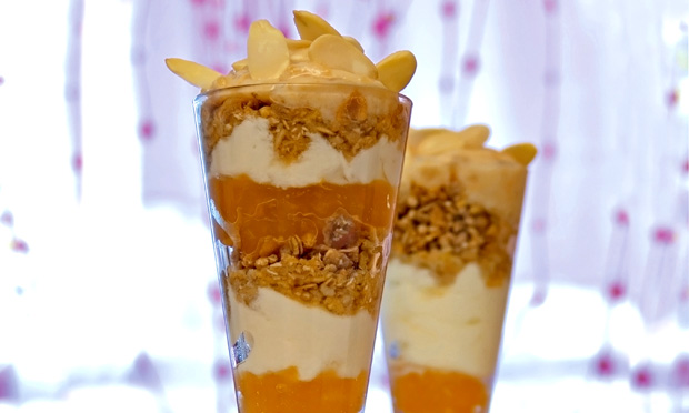 Gelado de damasco light Gelado de damasco light