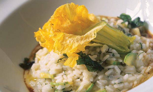 Risoto de flor de abobrinha Risoto de flor de abobrinha