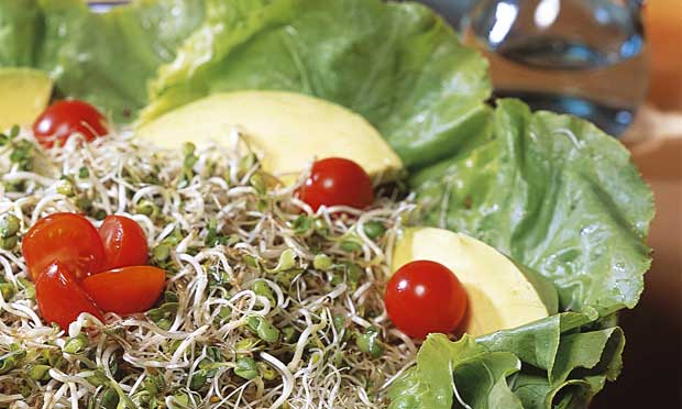 Salada de brotos com abacate
