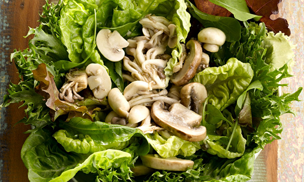 Salada de folhas com cogumelos e vinagre de framboesa