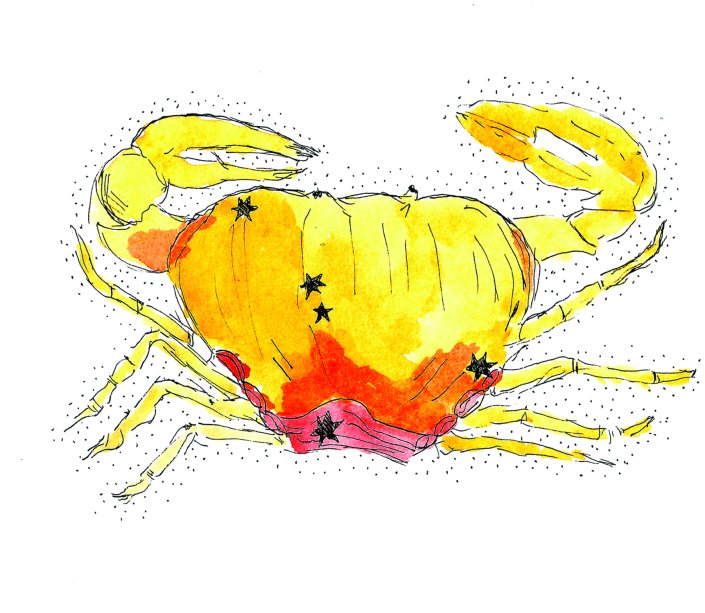 CÂNCER (21/6 A 21/7)