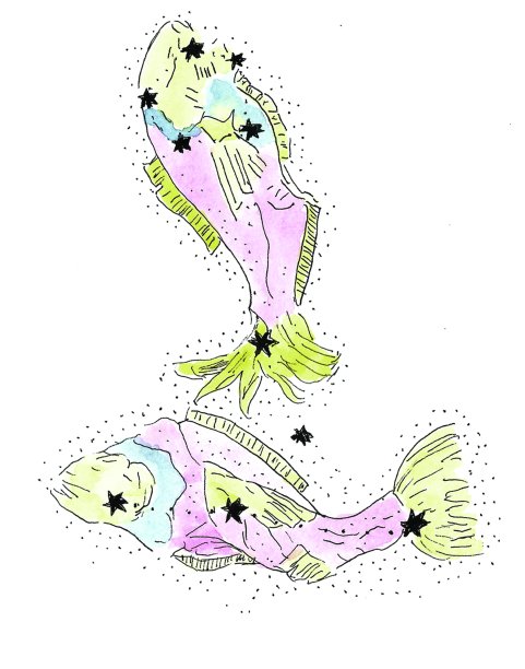PEIXES (20/2 A 20/3)