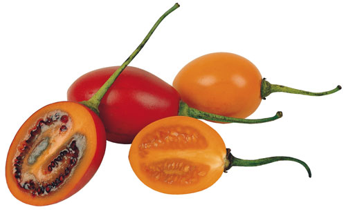 Tamarillo Tamarillo