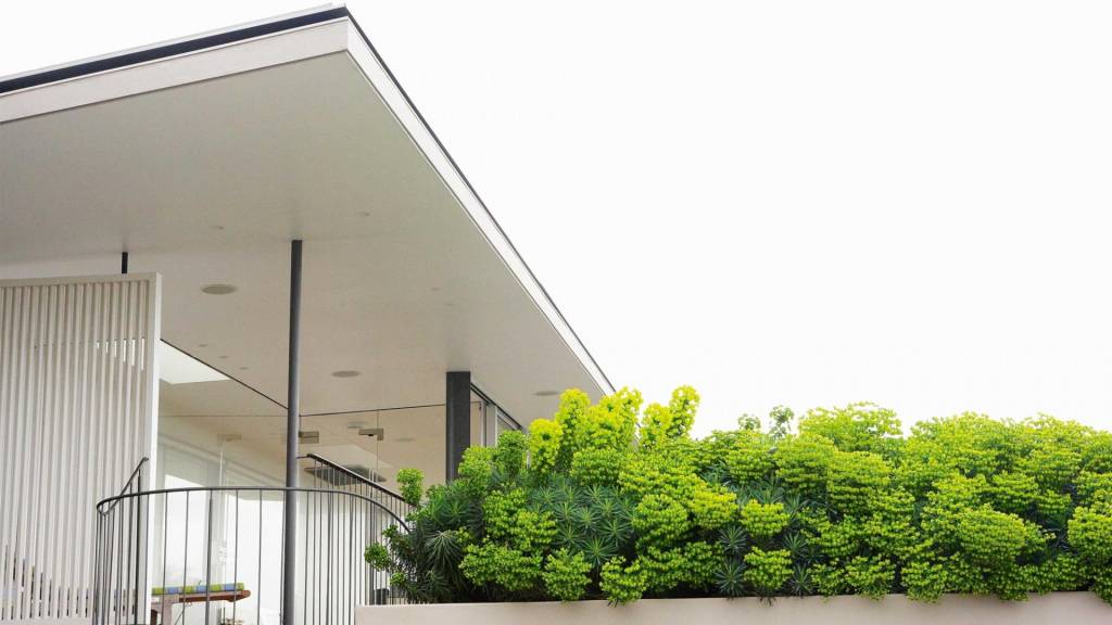 03-dicas-para-ter-um-jardim-no-telhado