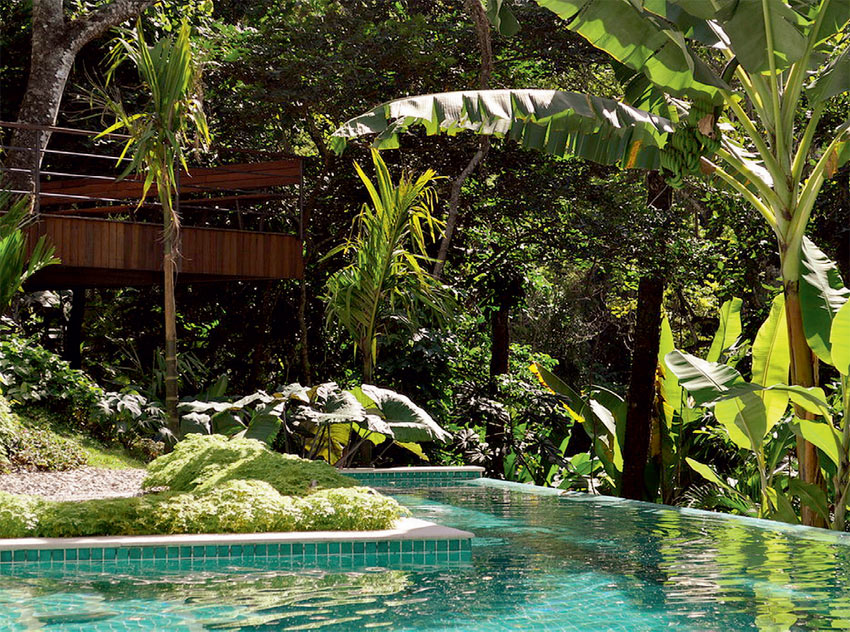 10-casa-no-rio-tem-verdadeira-floresta-preservado-no-jardim