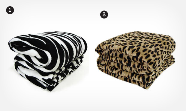 Casa inverno Casa inverno