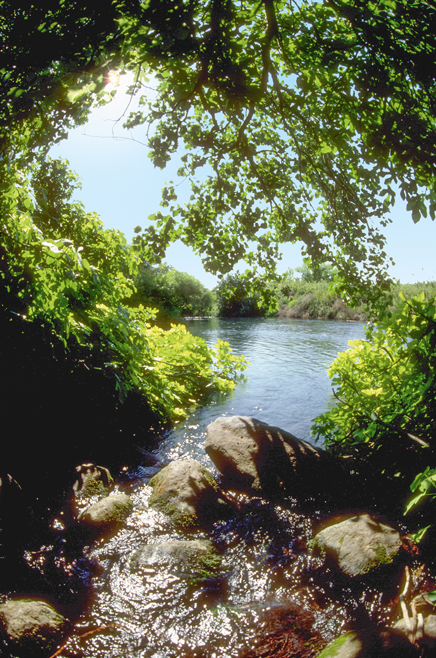 The source of the Jordan River in Israel.