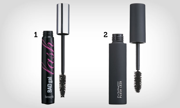 Cerdas longas e cheias Cerdas longas e cheias