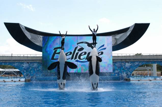 SeaWorld SeaWorld