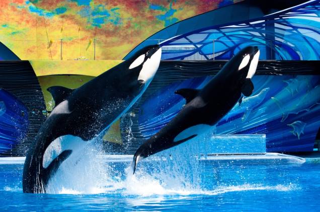 SeaWorld Parks & Entertainment SeaWorld Parks & Entertainment