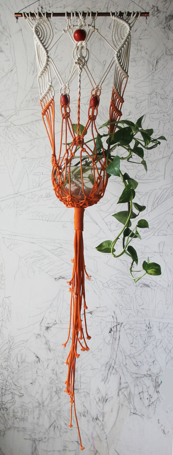 4 dicas para decorar usando trepadeiras e pendentes