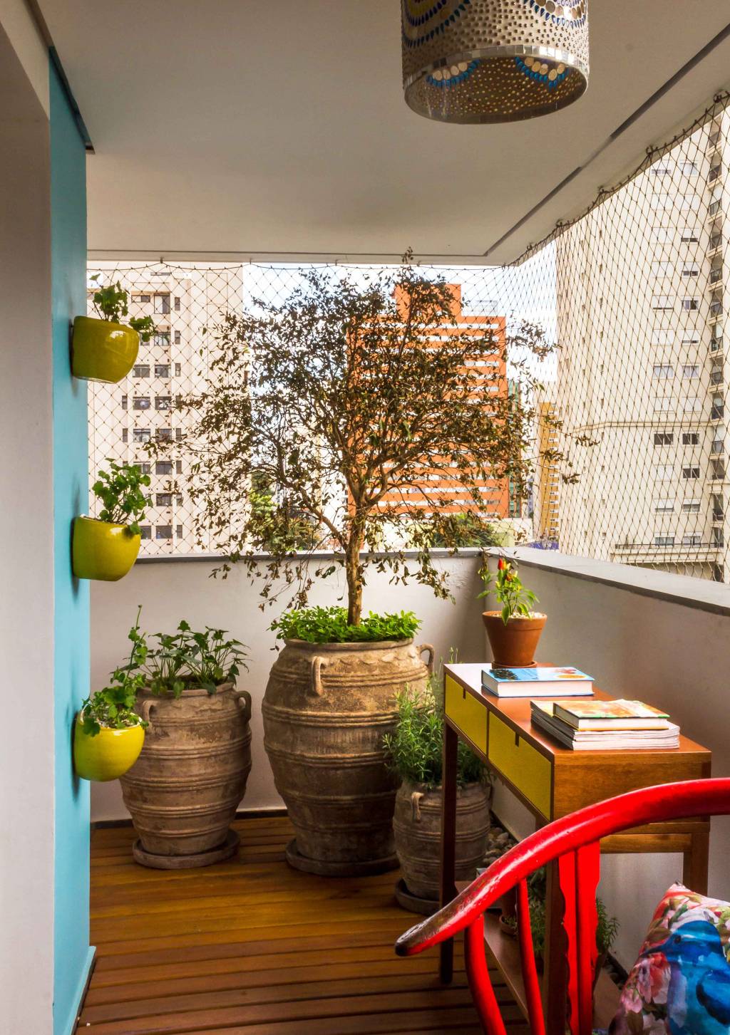 Pomar em casa: as espécies de frutíferas indicadas para plantar em vasos