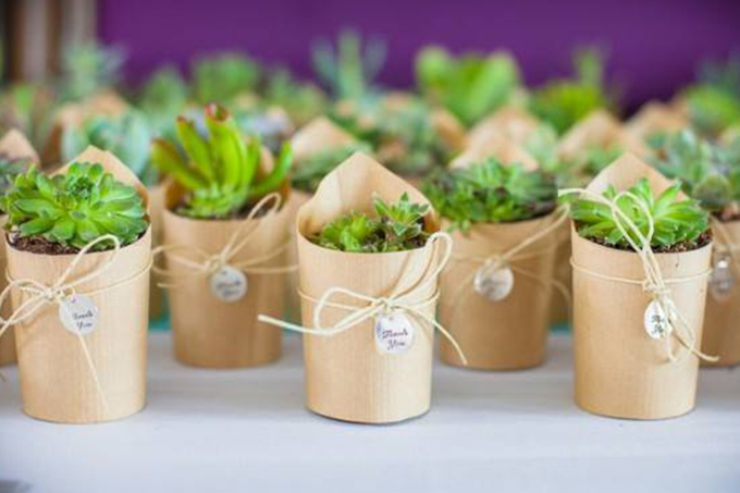 Inspiração: Suculentas como lembrancinha de casamento