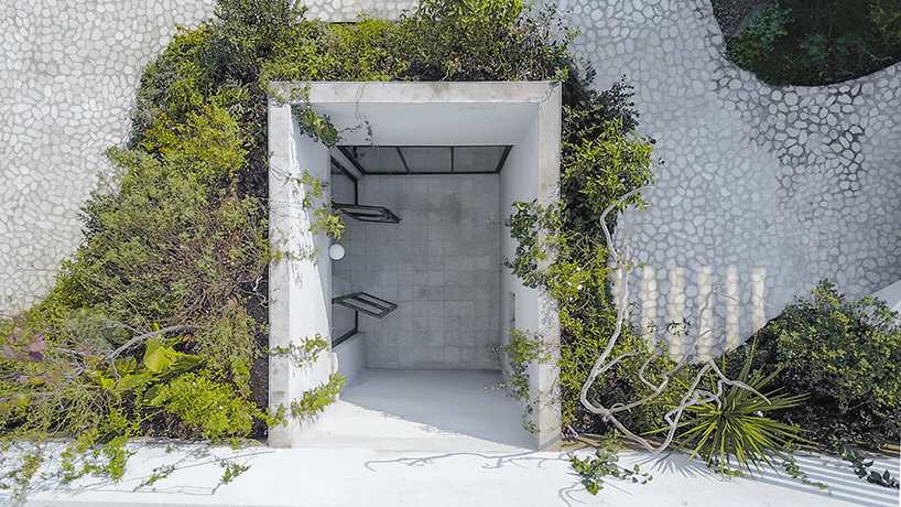 Terraço com jardim contemporâneo