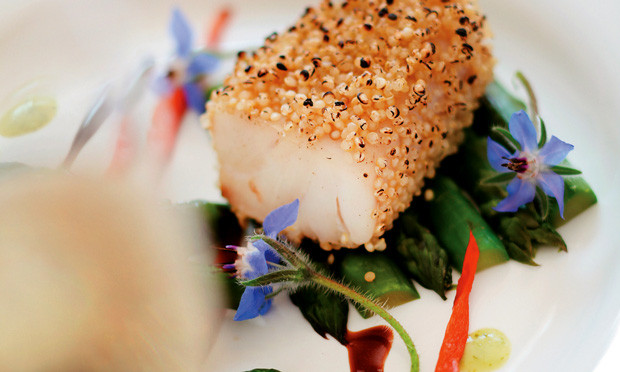receita-robalo-ao-molho-de-champanhe-azedinha1