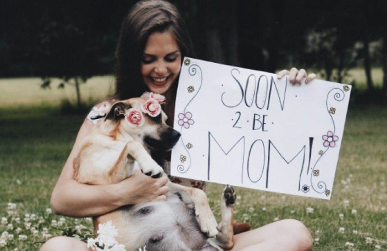 Essas fotos de uma cachorrinha grávida te deixarão mais feliz