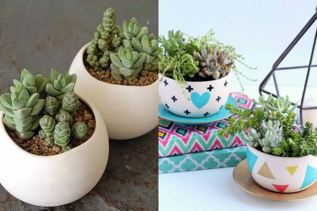 plantas-decoracao-casa2