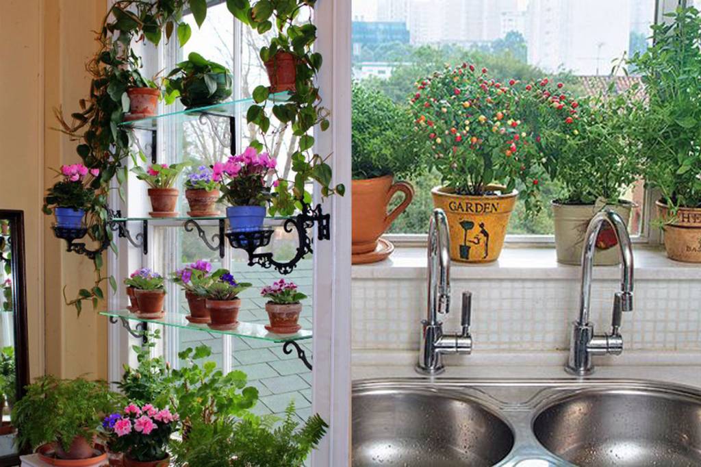 plantas-decoracao-casa3