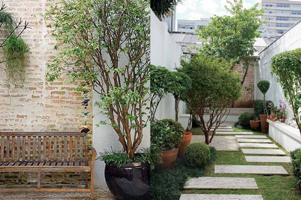 plantas-decoracao-casa4