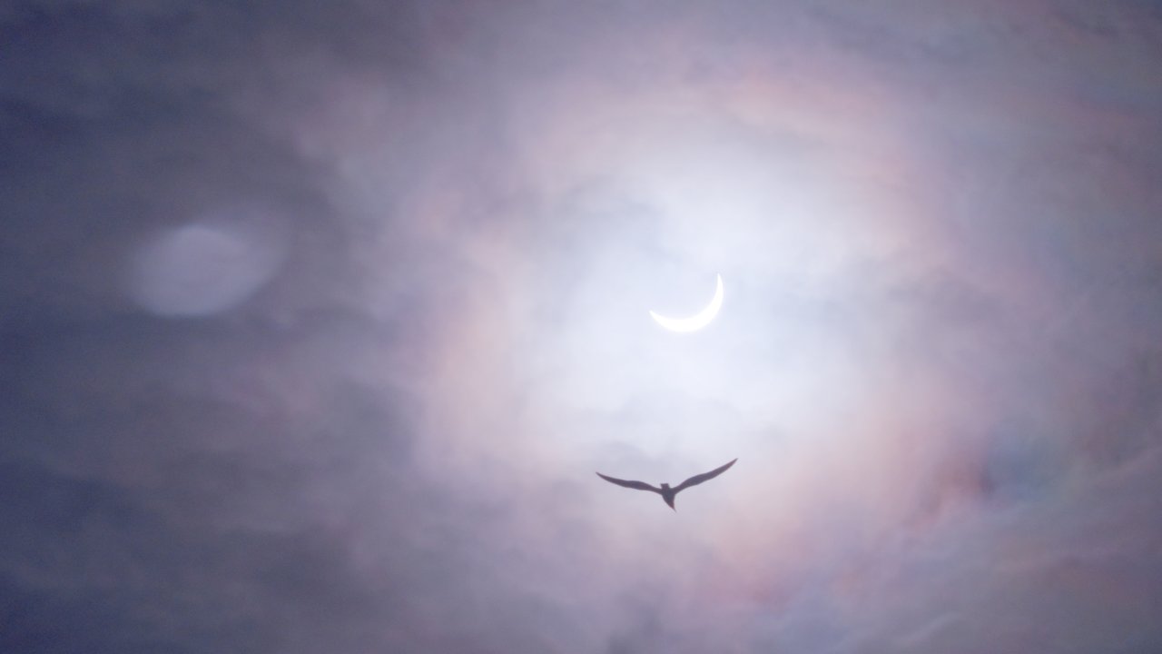 Eclipse Solar - Signos