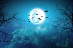 Qual é a origem do Halloween e por que acontece em 31 de outubro Céu noturno iluminado por uma lua cheia brilhante, com morcegos voando ao redor e galhos secos em silhueta, representando o clima sombrio e enigmático do Halloween.