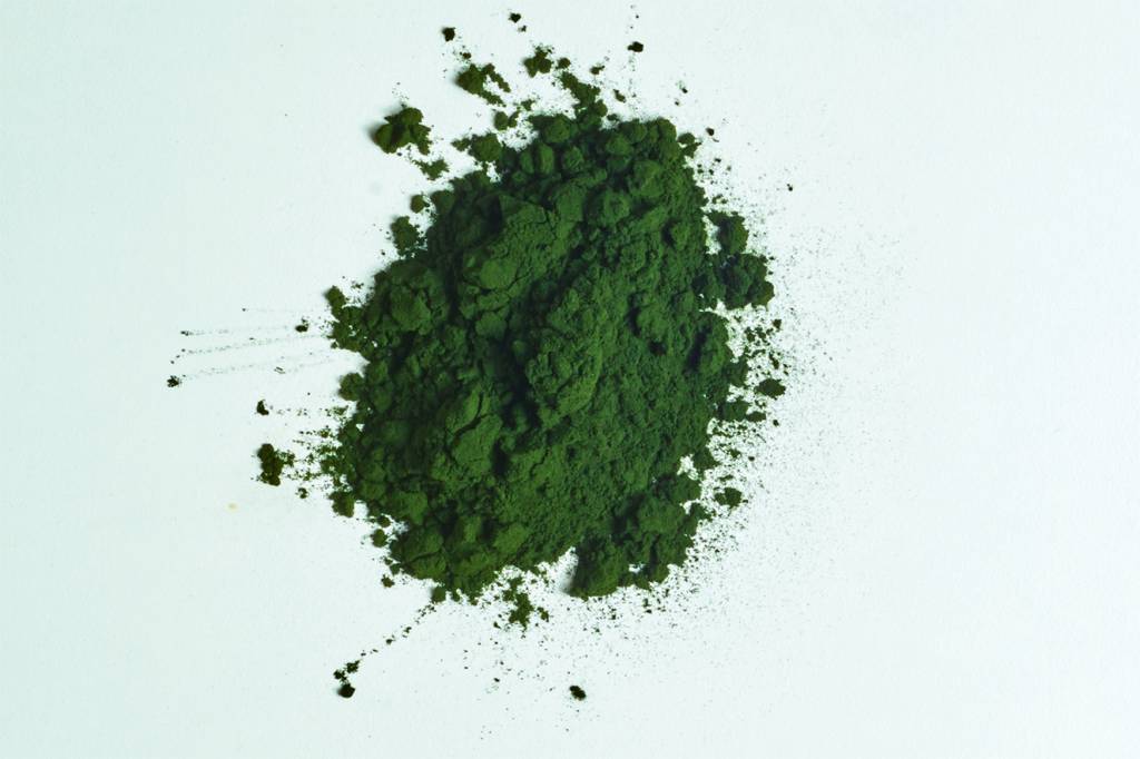 clorela – ingrediente