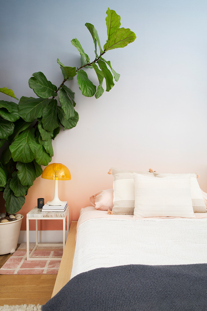 Quarto com papel de parede degradê e muitas plantas