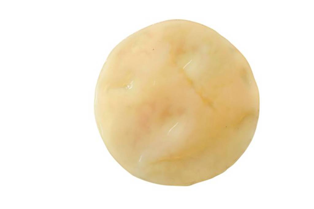 kombucha