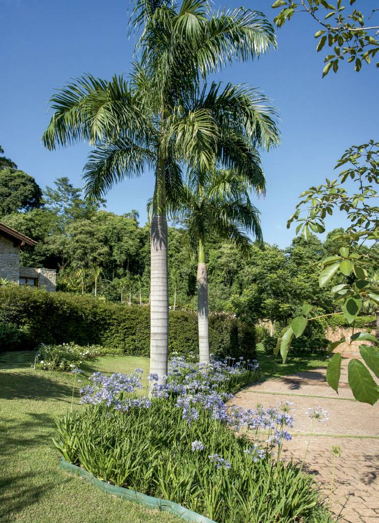 Este jardim é uma verdadeira aquarela natural