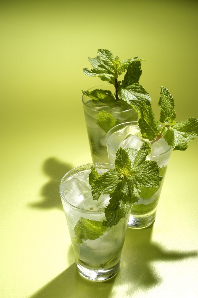bebidas-drinks-festa-mojito_3