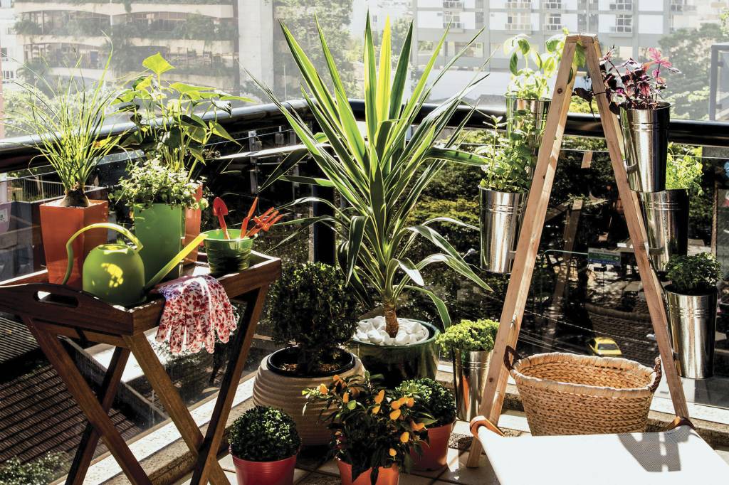 Jardinar é para todos: 8 dicas para manter as plantas lindas