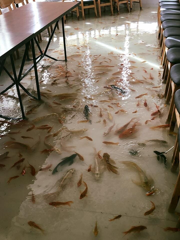 restaurante-inundado-peixes-Vietnã-2 restaurante-inundado-peixes-Vietnã-2