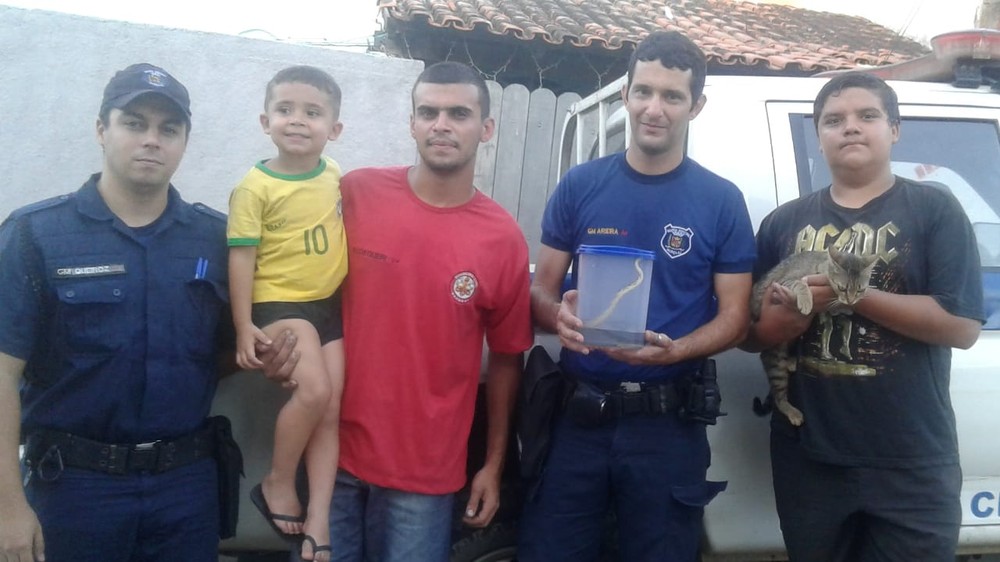 Família e gata Família e gata