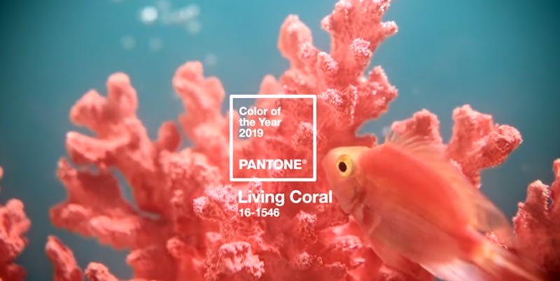 cor-do-ano-pantone-living-coral cor-do-ano-pantone-living-coral